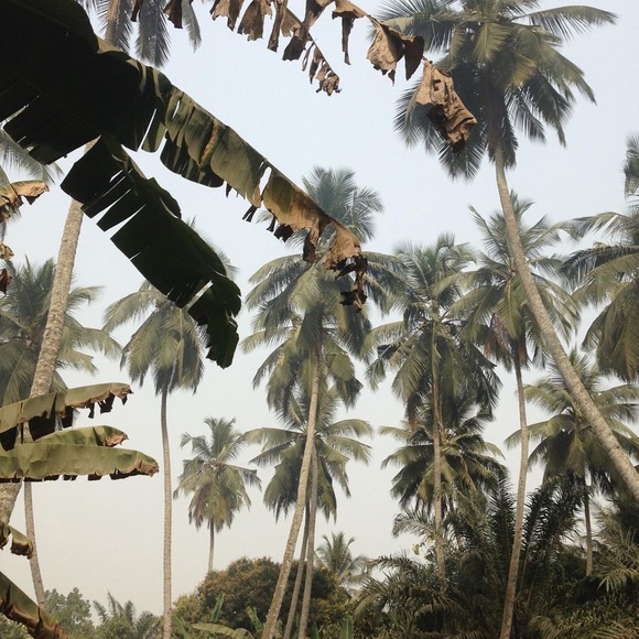 Meet your Posher, Jeremy - Picture 1 of 1